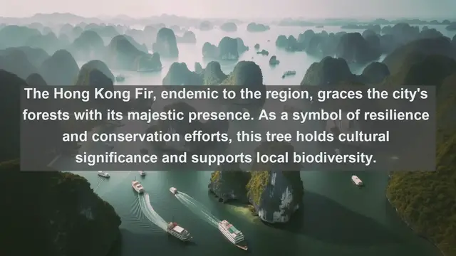 Video thumbnail for Unveiling Hong Kong's Natural Gems: Top 10 Native Plants