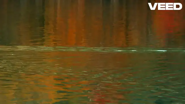 Video thumbnail for Discover the Amazing World of Ducks!