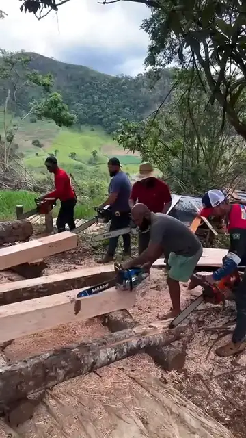 Video thumbnail for E a primeira vez que vejo isso - Competição de motosserra