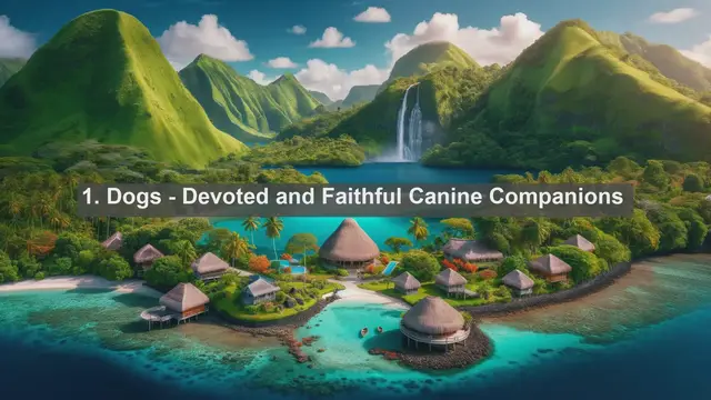 Video thumbnail for Discover Costa Rica's Most Beloved Companions: Top 10 Favorite Pets Revealed!