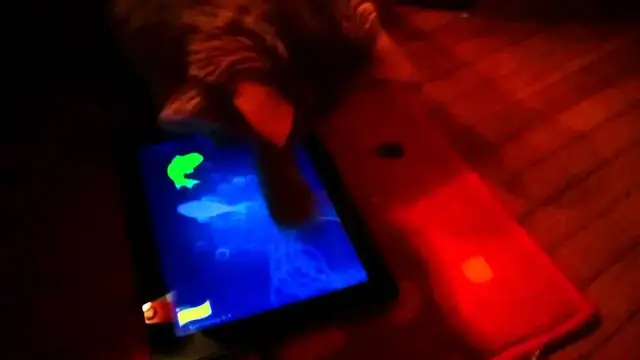 Video thumbnail for Parker Plays Friskies Cat Fishing 2 | Parker The Cat