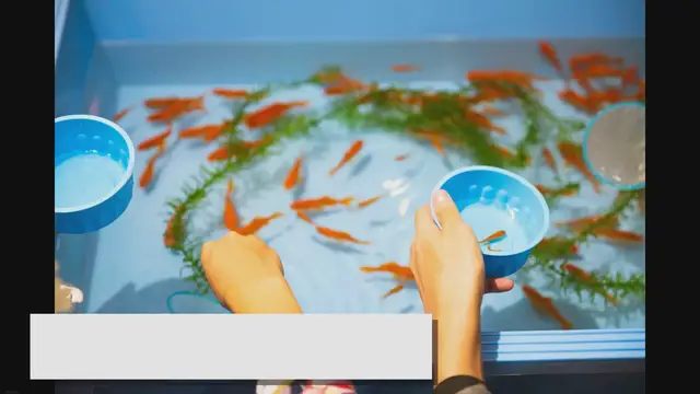 Video thumbnail for An Ultimate Guide to Fish Tank Water Conditioner