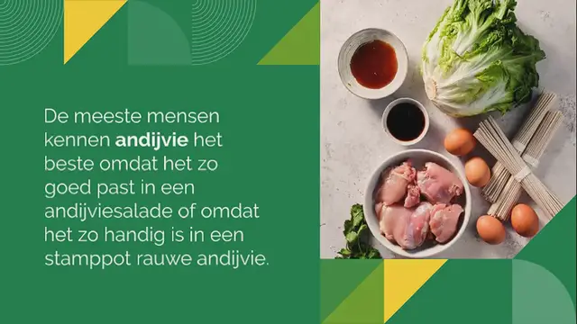 Video thumbnail for Andijvie roerbak met honing kip en noedels