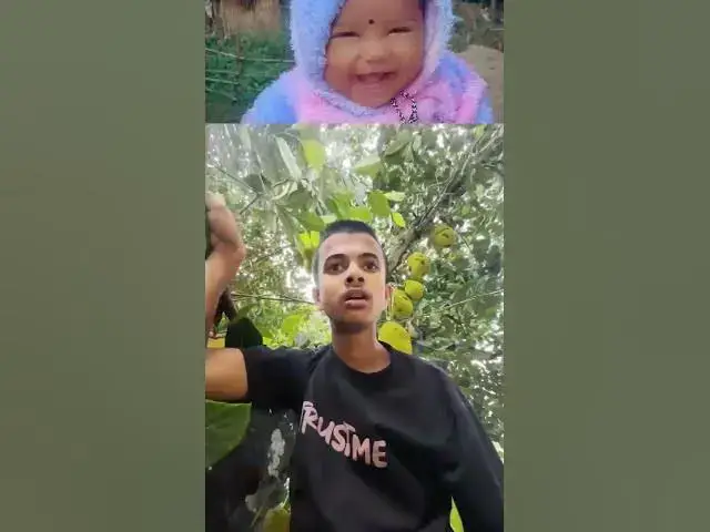 Video thumbnail for কাঁঠাল পারতে গিয়ে যা হলো