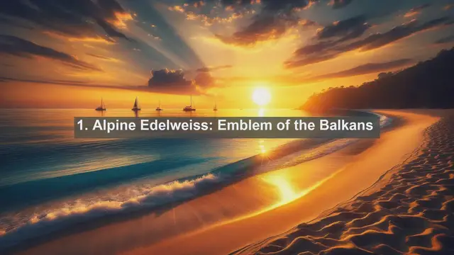 Video thumbnail for Discovering Bulgaria's Botanical Treasures: Top 10 Native Flora