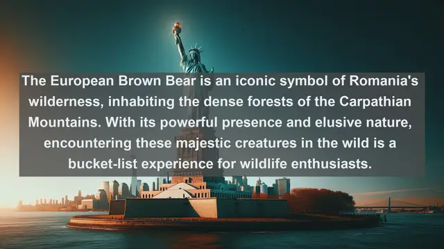 Video thumbnail for Discovering Romania's Wildlife: Top 10 Native Animals You Can't Miss!