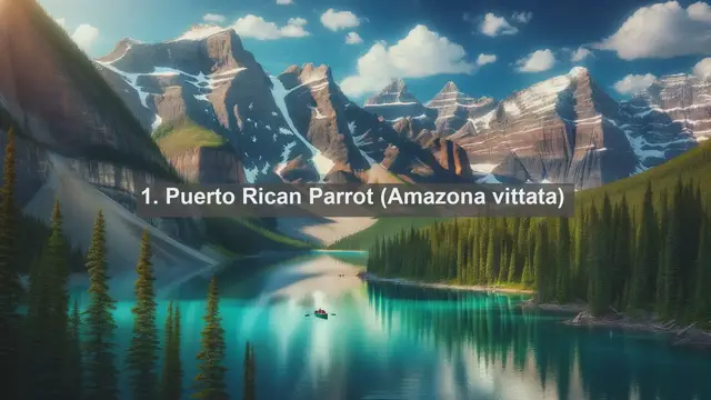 Video thumbnail for Exploring Puerto Rico's Wildlife: Top 10 Native Animals in Puerto Rico