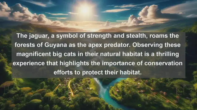 Video thumbnail for Discovering Guyana's Wildlife Treasures: Top 10 Native Fauna