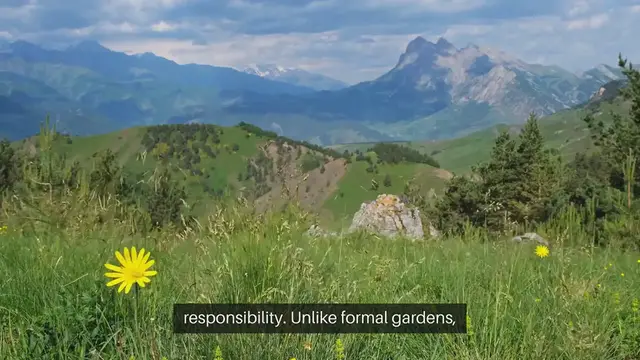 Video thumbnail for Wildflower Garden Design For Natural Landscapes