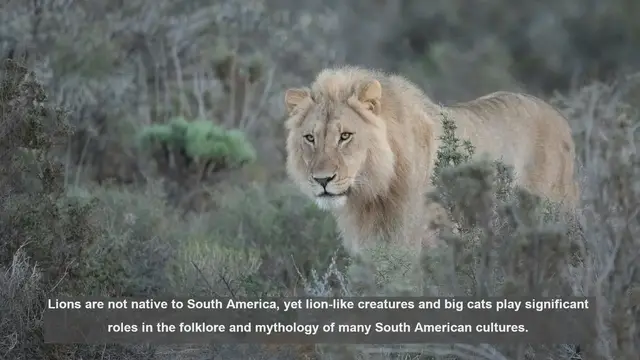 Video thumbnail for 10 Big Cat Legends from South America