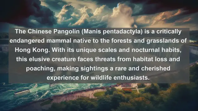 Video thumbnail for Unveiling Hong Kong's Hidden Wildlife: Top 10 Native Animals Revealed!