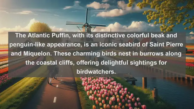 Video thumbnail for Discovering Saint Pierre and Miquelon: Top 10 Native Animals of This Unique Archipelago