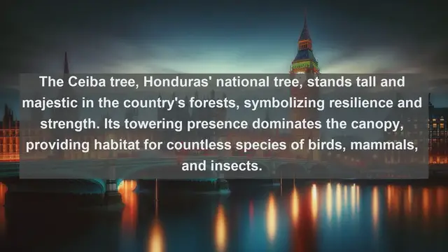 Video thumbnail for Unveiling Honduras' Natural Treasures: Top 10 Native Flora in the Heart of Central America