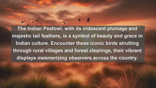 Video thumbnail for Top 10 native birds in India