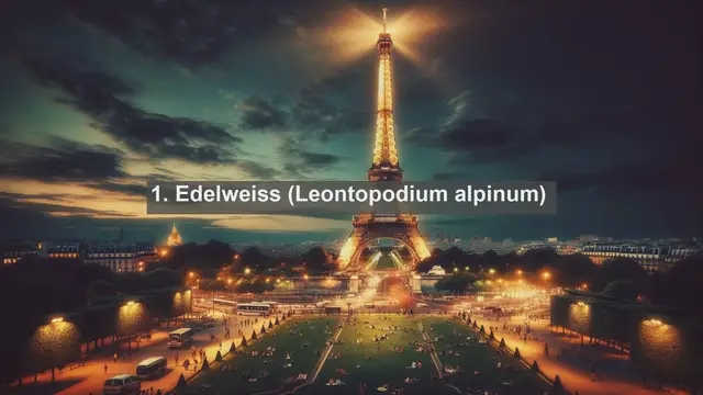 Video thumbnail for Exploring San Marino's Natural Treasures: Top 10 Native Plants Revealed!