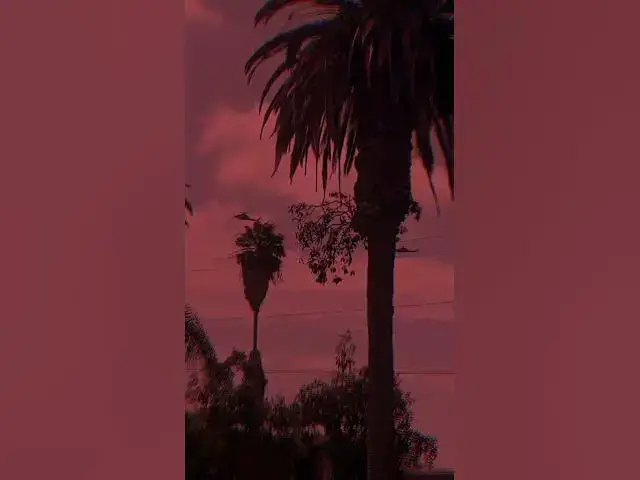 Video thumbnail for WHAT IS THEY LOOKING FOR