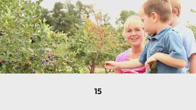 Video thumbnail for How Much to Plant Per Person for a Year’s Worth of Food
