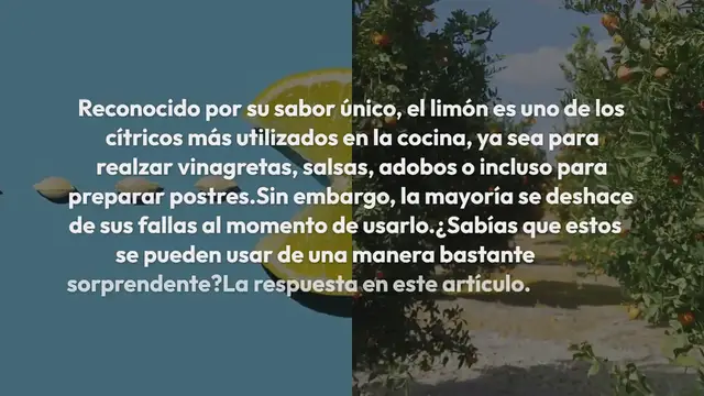 Video thumbnail for No tires las semillas de limón: así es como se usan para cultivar un árbol de limón