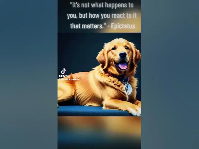 Video thumbnail for "It's not what happens to you, it's how you react that matters" - Epictetus