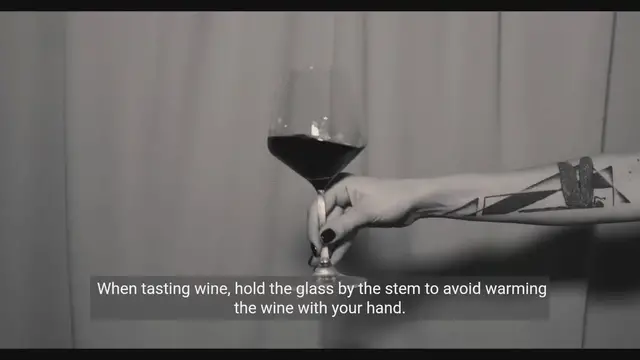 Video thumbnail for Mastering Wine-Tasting Etiquette and Food Pairing