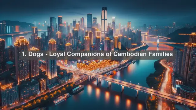 Video thumbnail for Meet Cambodia's Top 10 Favorite Pets: Your Guide to Furry Companions!