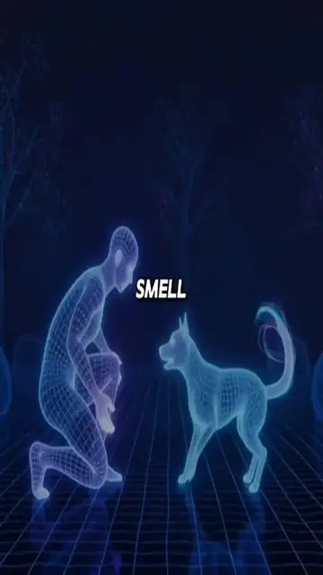 Video thumbnail for 1112 (1)(6)