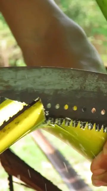 Video thumbnail for Survival Skills_ You know, Simple but it Useful #bushcraft #outdoors #survival #camping