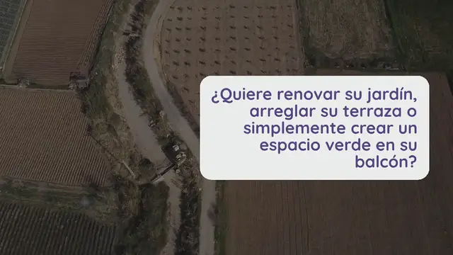 Video thumbnail for Transforma tu jardín con estas 7 plantas trepadoras de rápido crecimiento