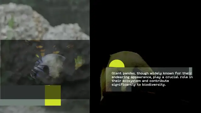 Video thumbnail for The Panda's Paw Print: How Pandas Impact Their Ecosystem and Biodiversity