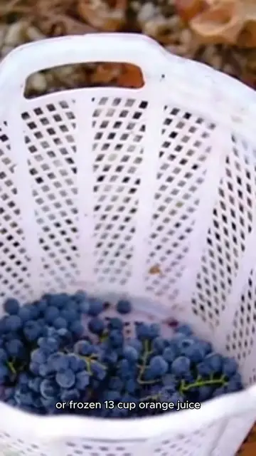 Video thumbnail for blueberry cobbler recipe