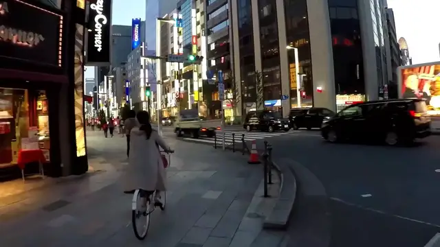 Video thumbnail for Exploring Tokyo, Japan | Must-See Attractions