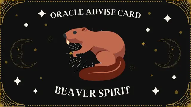 Video thumbnail for Pick A Card | Oracle Advise Card - Beaver spirit