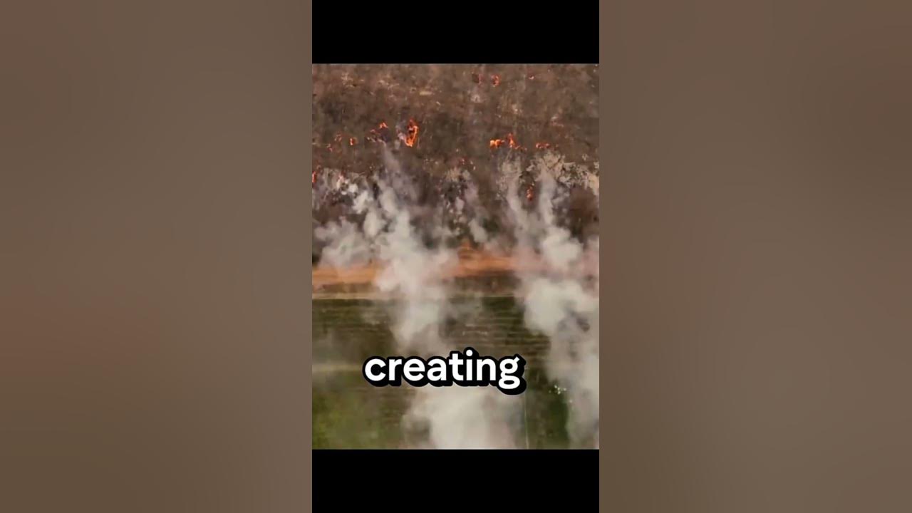 Video thumbnail for Heatwaves Becoming a Public Health Threat