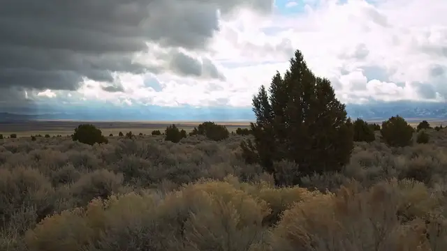 Video thumbnail for The Powerful Santa Ana Winds: Nature’s Unpredictable Hairdryer