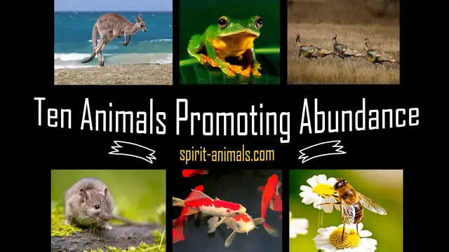 Video thumbnail for Top 10 Spirit Animals that bring Abundance