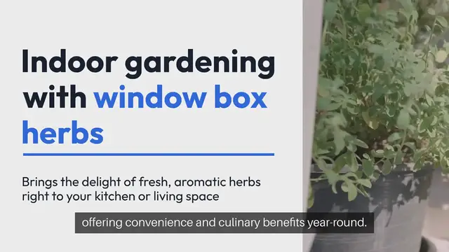 Video thumbnail for Indoor Gardening Window Box Herbs