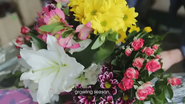 Video thumbnail for Best Annual Flowers for Your Garden