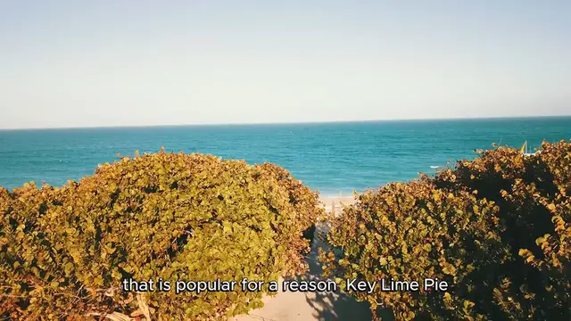 Video thumbnail for Key Lime Pie