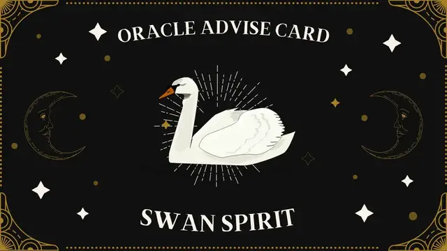 Video thumbnail for Pick A Card | Oracle Advise Card - Swan spirit