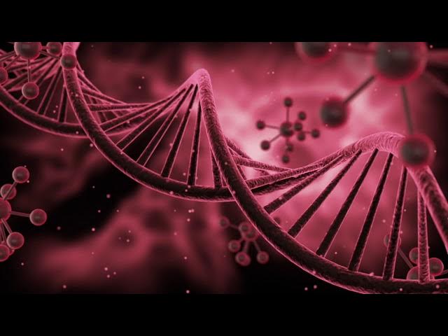 Video thumbnail for The Goal of Vibration - Vignettes with Mystic, Marilynn Hughes, Out of Body Travel