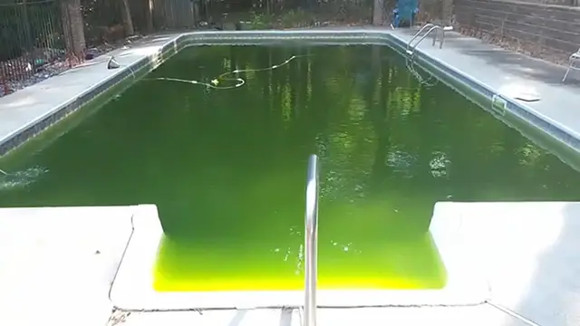 Video thumbnail for From Green to Clean： Transform Your Algae-Filled Pool to Sparkling Blue in Just 4 Days!