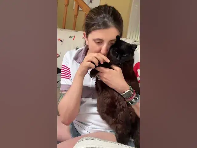 Video thumbnail for When My Wisdom Whisker Couldn't Answer The Call