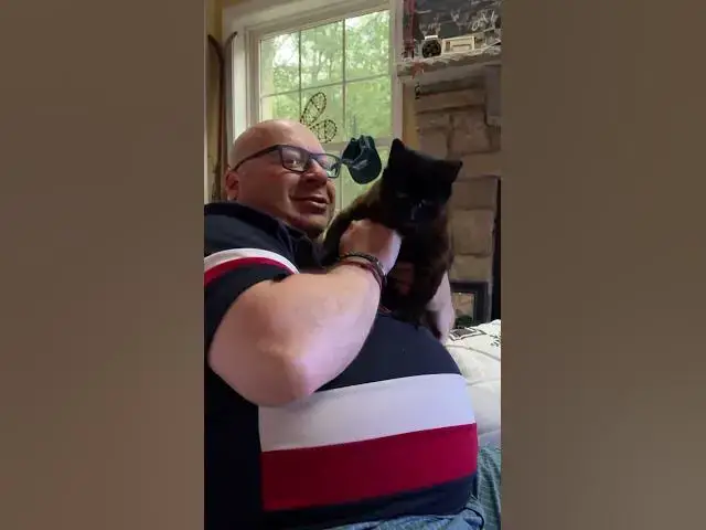 Video thumbnail for Cat's Eye View: Mom Always Wins