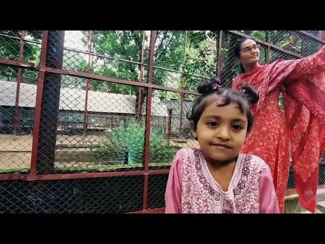 Video thumbnail for চিড়িয়াখানা মিরপুর ময়ূরের খাঁচা
