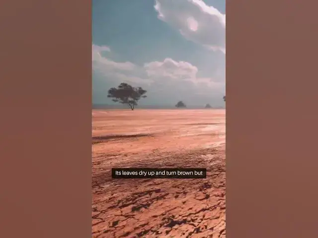 Video thumbnail for 3 Plants that Rise from Dead #facts #garden#plants  #soil #greening #beginnergardeners #greentips