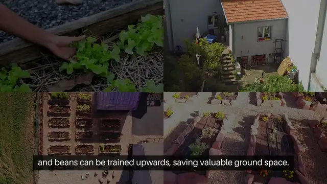 'Video thumbnail for Small Space Vegetable Gardening Ideas'