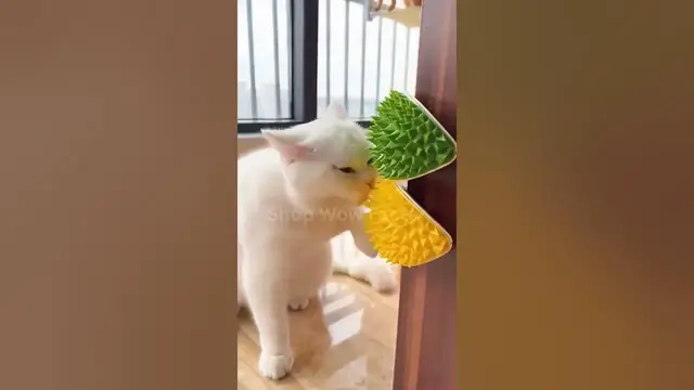Video thumbnail for 😺🍈 Cat Corner Scratcher Durian Toy 🍈😺 || Link in Description || #cats #accessories #usa #shopping