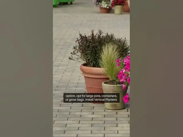 Video thumbnail for Brick Yard Vegetable Garden Transformation  #beginnergardeners #gardening #greenthumb  #plants