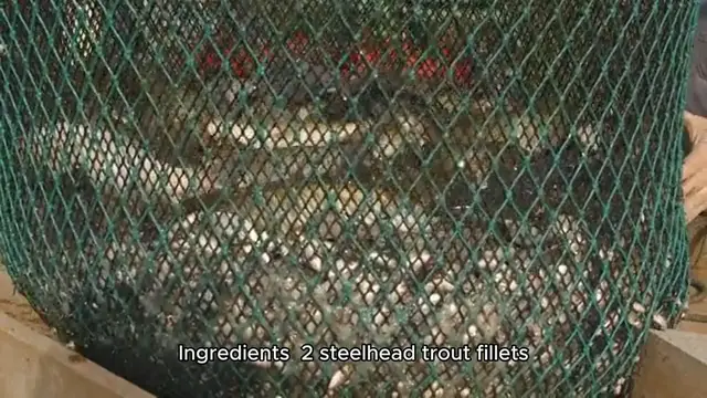 Video thumbnail for steelhead trout recipe