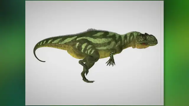 Video thumbnail for An Ultimate Guide to Yangchuanosaurus: Yangchuan’s Lizard